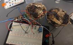 DSP技术实验有哪些核心应用？