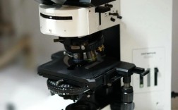 荧光显微镜品牌怎么选？