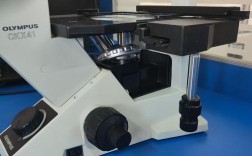 国产倒置显微镜品牌排名哪家强？