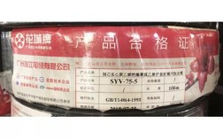 zr-rvv是什么品牌