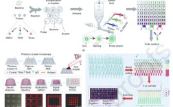 微流控技术与生物技术如何融合创新？
