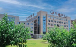 长运通光电技术有限公司如何？