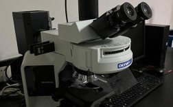 荧光显微镜品牌哪个好？