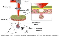 生物3D打印技术原理是什么？