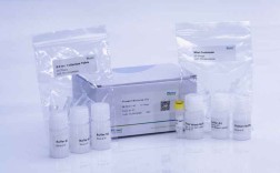 质粒提取试剂盒品牌怎么选？