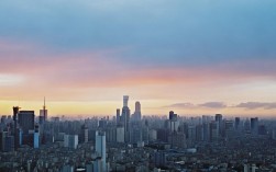 新冠疫情污名中国的国家，出现新冠疫情的国家