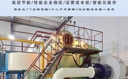 燃气锅炉 10t 品牌