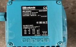 飞力泵是哪个国家的品牌？