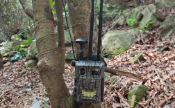 哪个野生动物红外相机品牌更可靠？