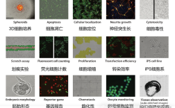 活细胞成像分析系统品牌哪个好？