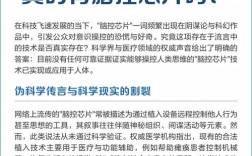 大脑植入芯片如何实现信号交互？