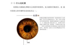 虹识技术营销策略如何破局？