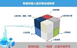 国内人脸识别技术哪家强？