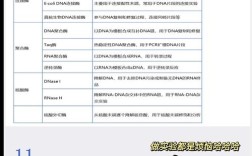 不同品牌酶切效果差异大吗？