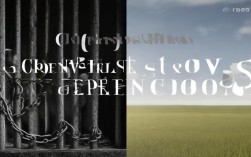 约束与自由的议论文，约束与自由的议论文800字