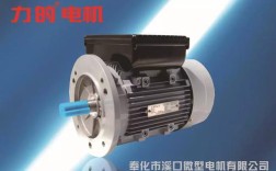 双值电容电机技术数据有哪些关键参数？