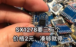 SX1278调频技术如何实现高效稳定通信？