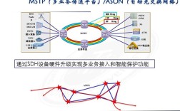 OTN技术真能完全替代SDH吗？