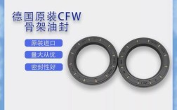 德国CFW油封天津有何优势？