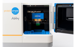 免疫印迹仪器有哪些主流品牌？