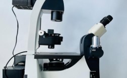 荧光显微镜有哪些品牌