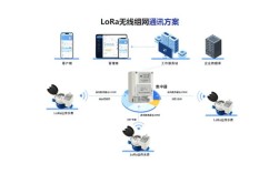 LoRa组网如何实现？关键技术与步骤是什么？