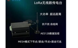 lorrla传输技术