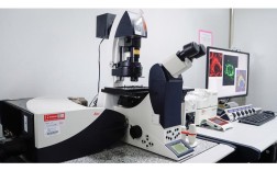 激光共聚焦显微镜品牌怎么选？