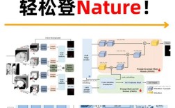 MEMC图像处理技术如何优化动态画面流畅度？