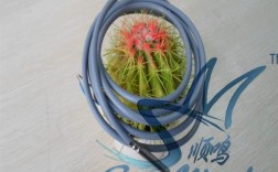 线缆式温度传感器品牌怎么选？