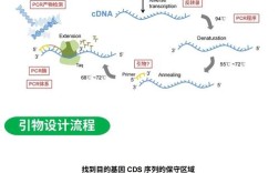 直扩技术如何高效达成目的？