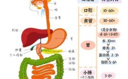 我国技术消化现状如何？