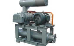 德国罗茨鼓风机有何独特优势？