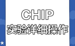 Chip核心实验技术有哪些关键要点？