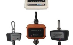 出口10吨电子吊秤品牌哪家强？