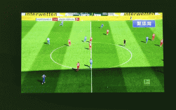 动态补偿memc技术