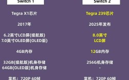 Switch技术规格有哪些核心参数？