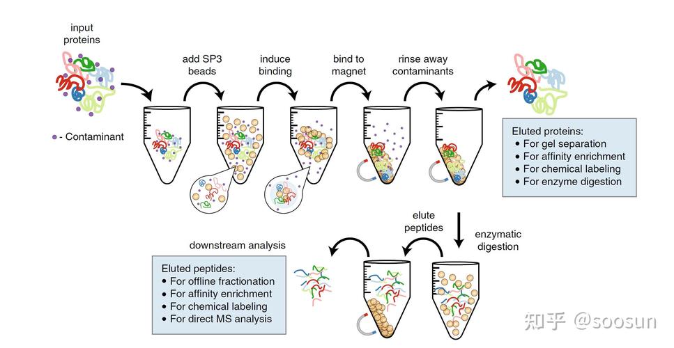 外泌体分离免疫磁珠品牌-图3