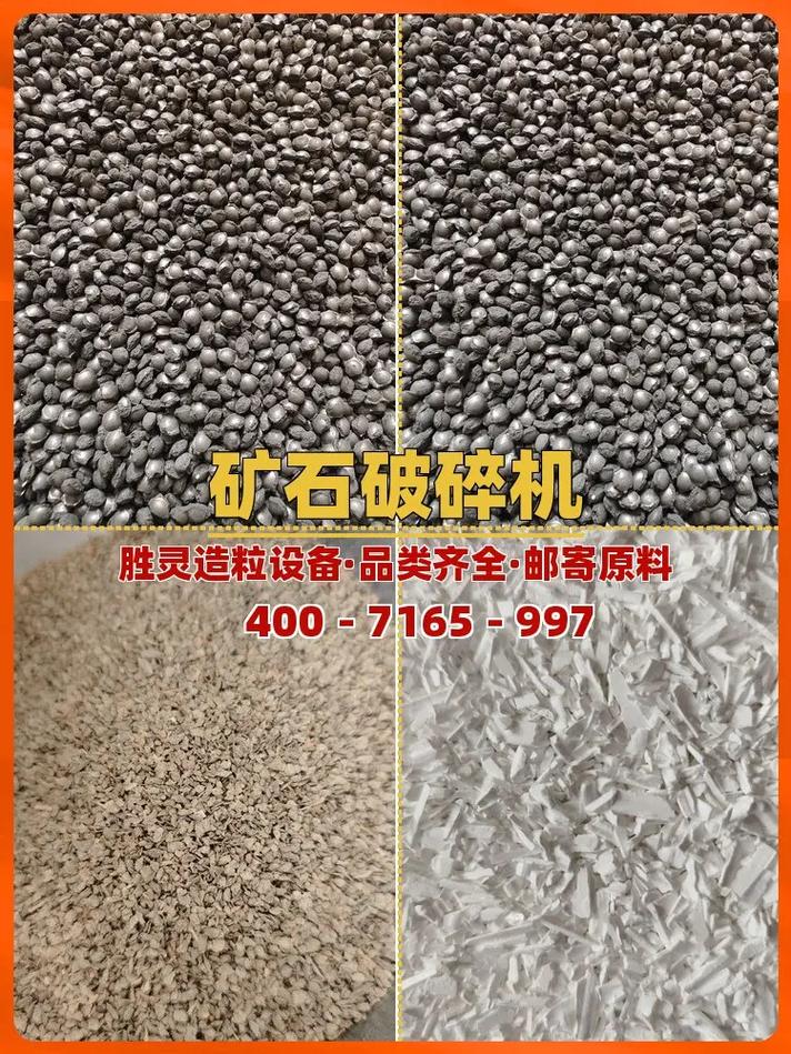 干湿法制粒设备品牌哪家强？-图2