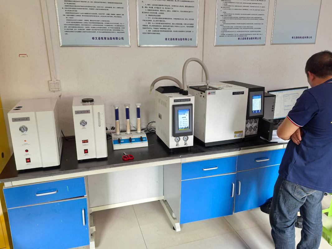 进口在线气相色谱仪品牌怎么选？-图2