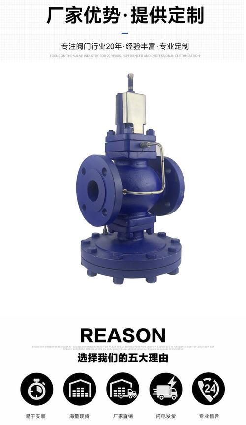 进口大口径减压阀门品牌选哪个好?-图2 进口大口径减压阀门品牌选哪个好?-图2