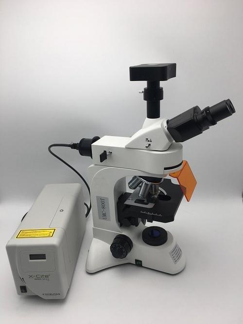 德国荧光正置显微镜品牌有哪些？-图2