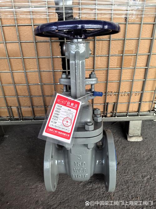 煤化工锁渣阀品牌有哪些？-图3