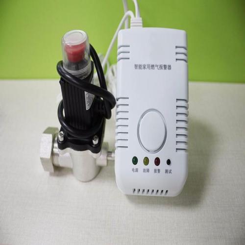天燃气泄漏报警器品牌怎么选？-图2