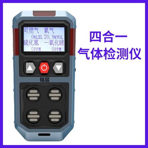 受限空间气体检测仪品牌该怎么选？-图2