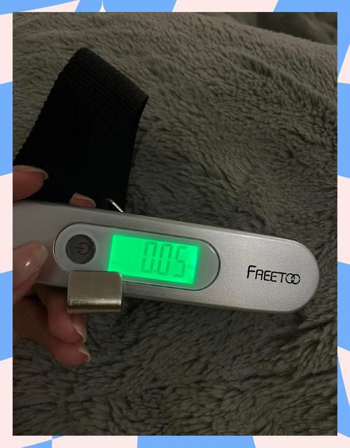 便携式地磅品牌怎么选?-图3 便携式地磅品牌怎么选?-图3