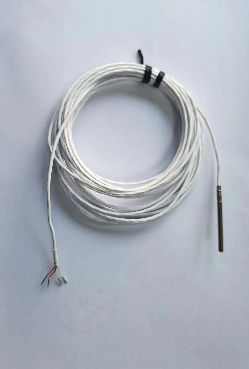 铂金电阻pt100品牌怎么选?-图1 铂金电阻pt100品牌怎么选?-图1