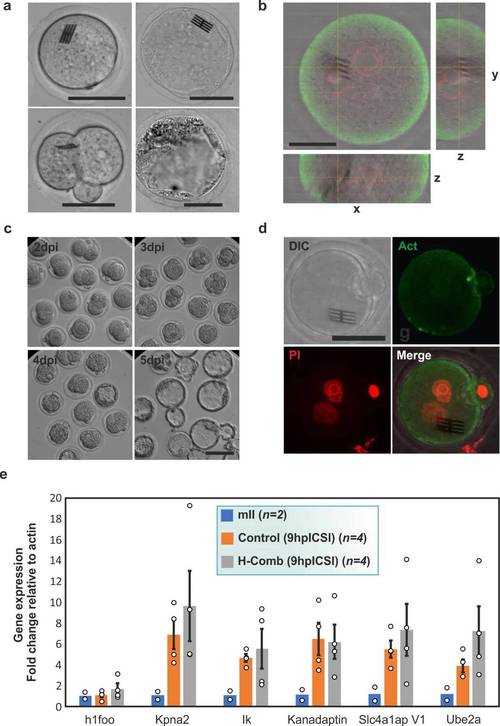 纳米生物传感分析技术如何突破检测极限？-图3