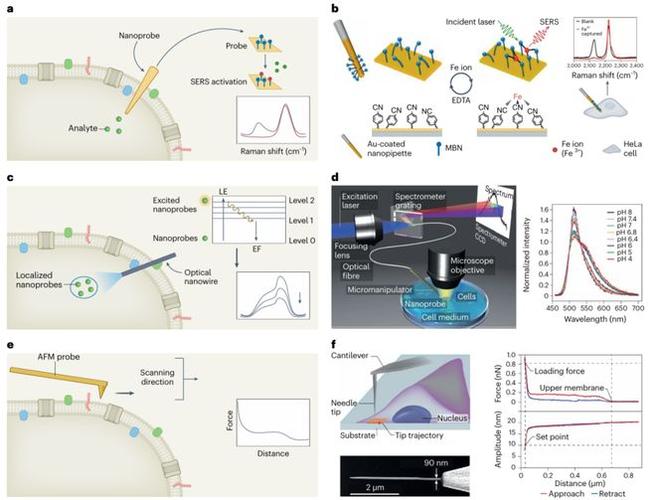纳米生物传感分析技术如何突破检测极限？-图1