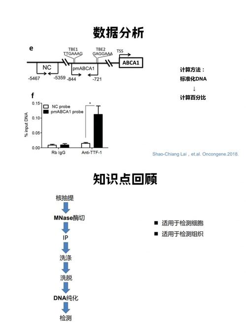 Chip技术优缺点如何权衡？-图1
